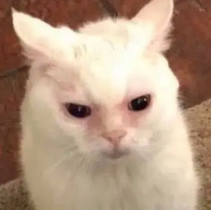 Meet your Posher, Brooklyn fielding